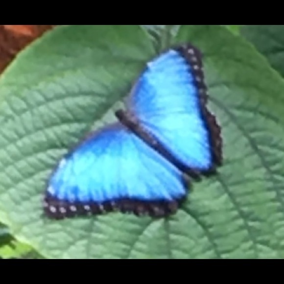 Meet your Posher, Gretchen - Picture 1 of 4